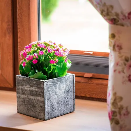 Caloroczny Na Kaszubach Ii Blizniak بيت للعطل Lipusz