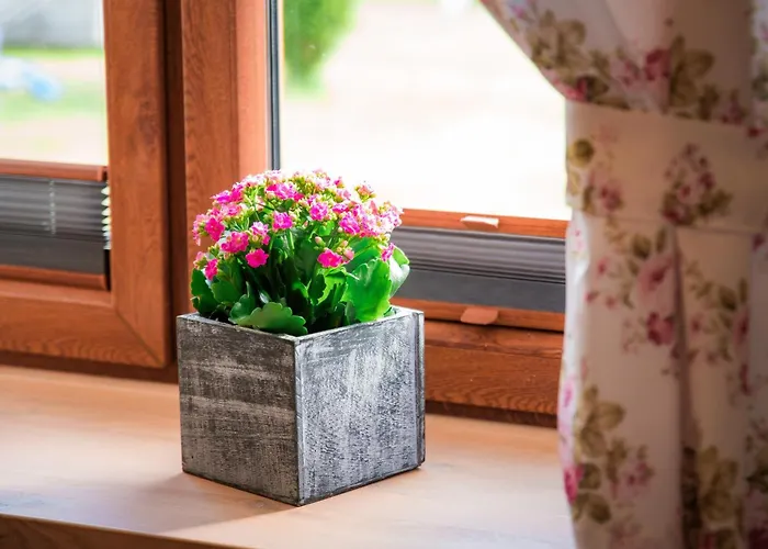 Caloroczny Na Kaszubach Ii Blizniak Feriehus Lipusz